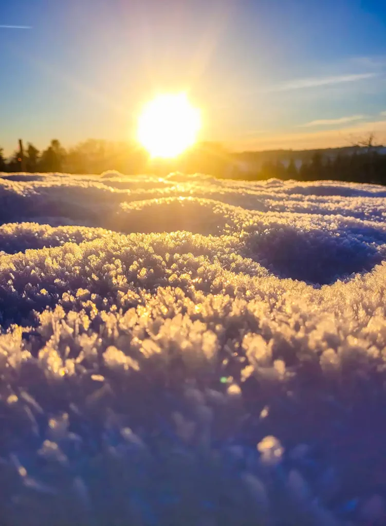 Winterstimmung mit Schnee